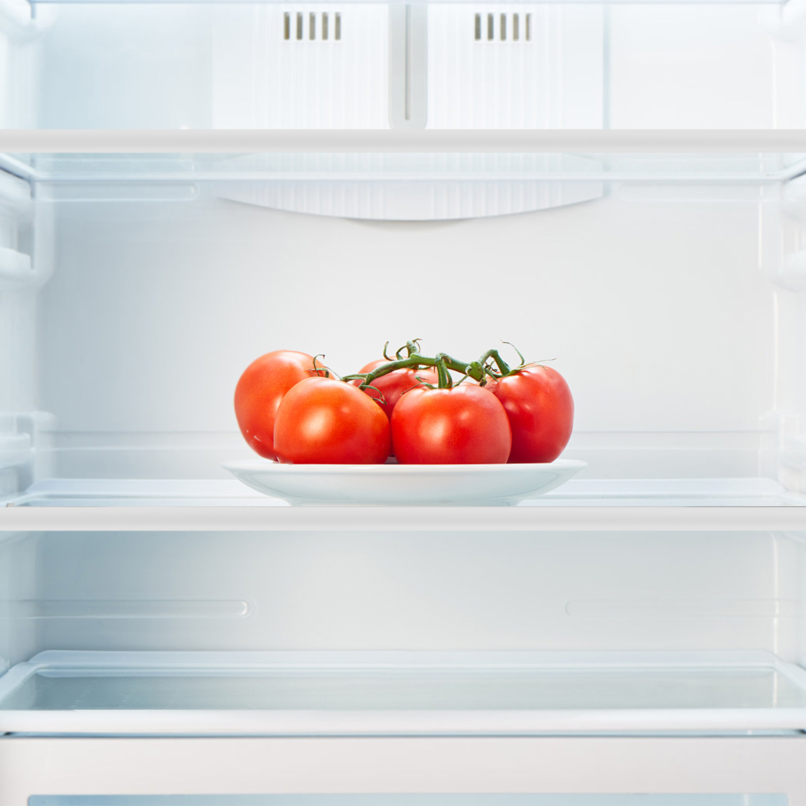 Półka do lodówki z hartowanego – Food Storage Dividers recenzja i cena