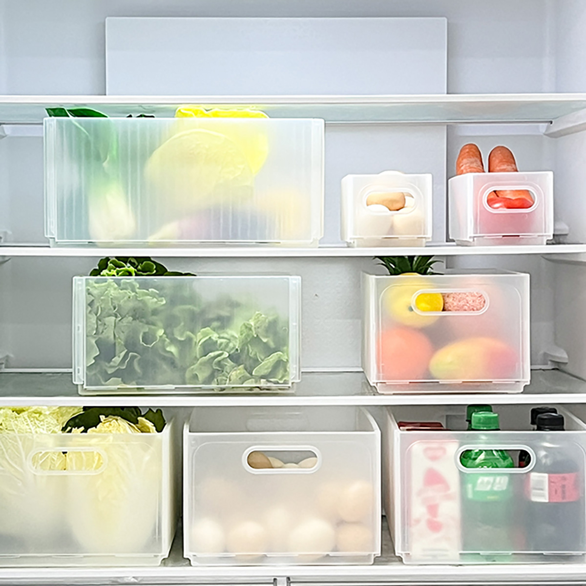 WORTHBUY Plastikowy Składany P – Xxl Food Storage Container recenzja i cena
