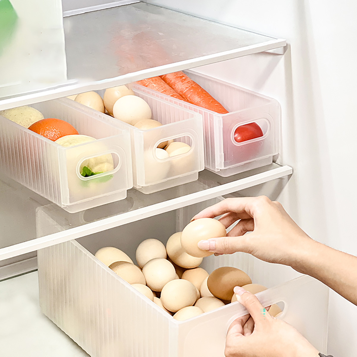 WORTHBUY Plastikowy Składany P – Xxl Food Storage Container recenzja i cena